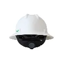 11.webp