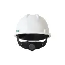24.webp