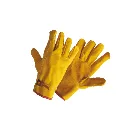 58.webp