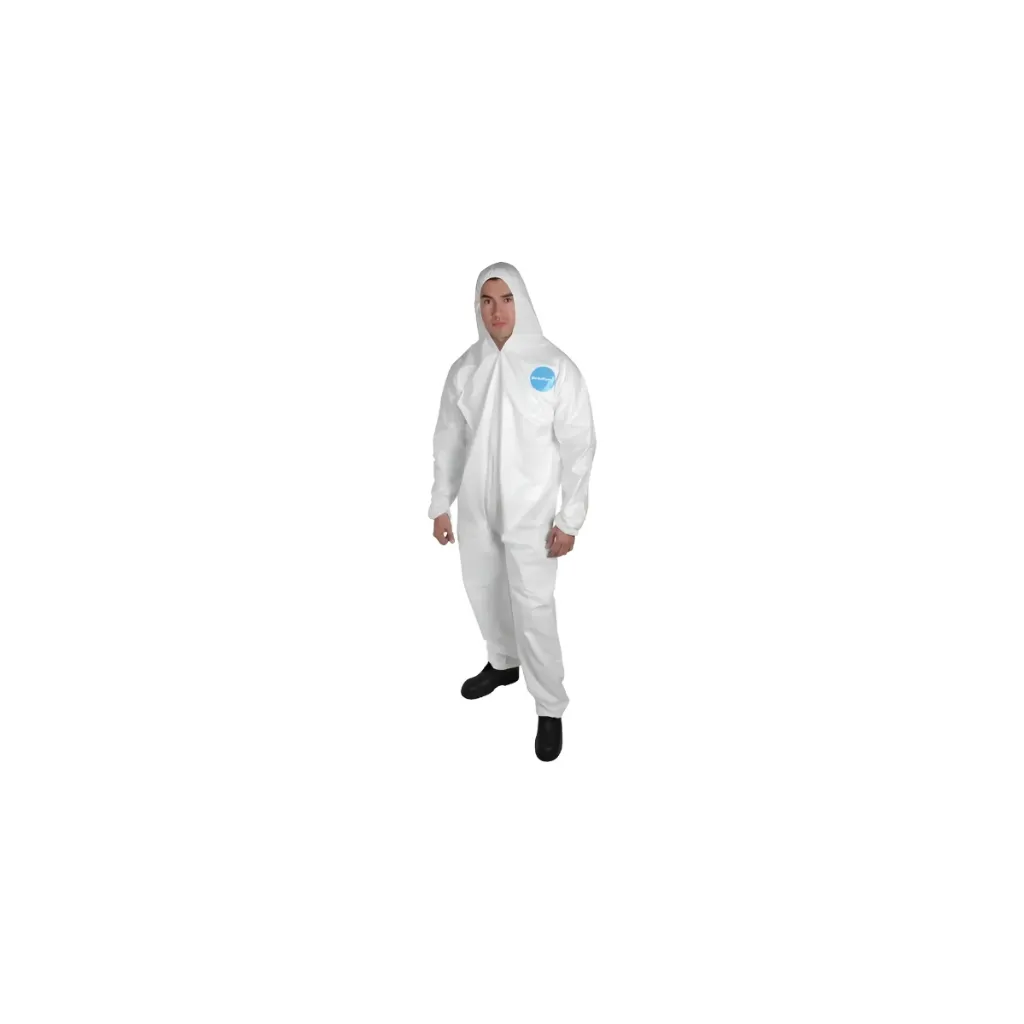 5.webp