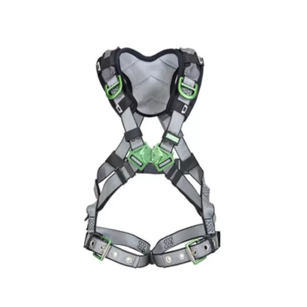 5.webp