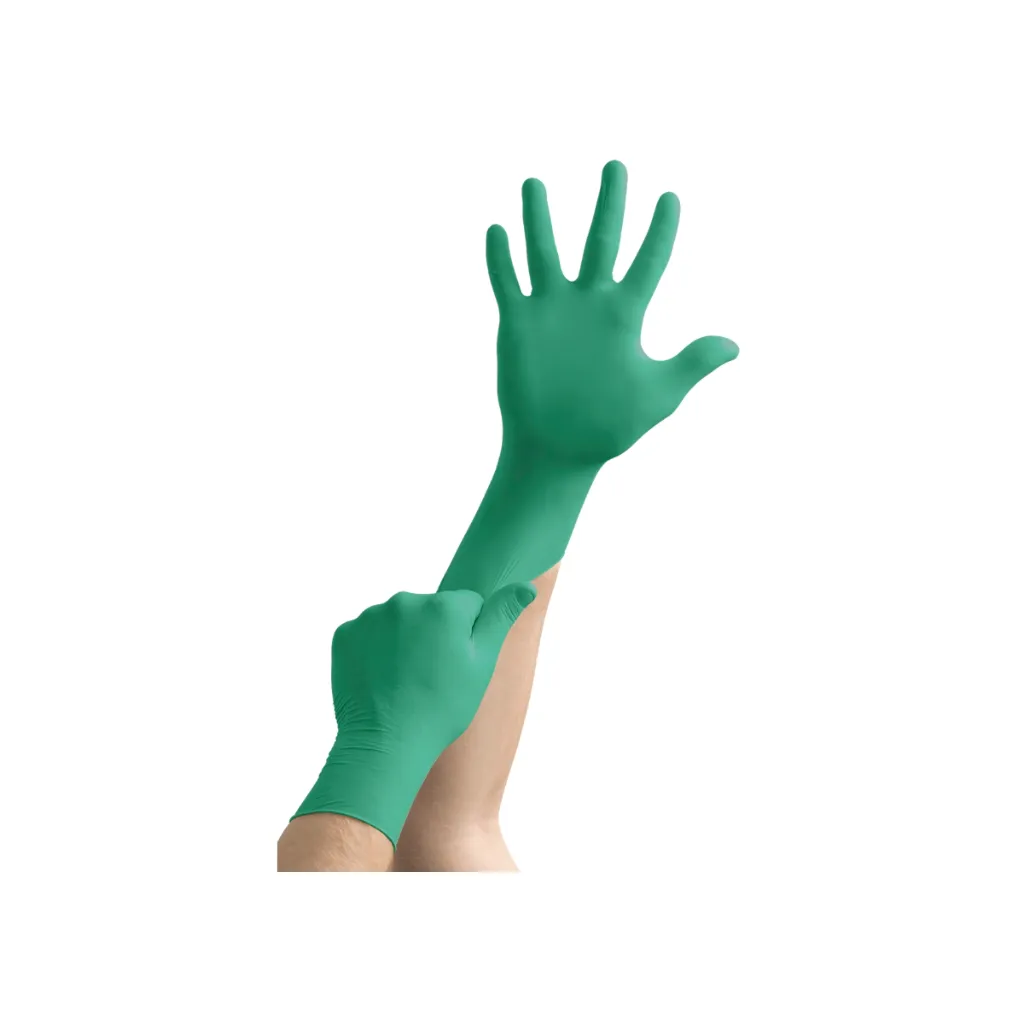 13.webp
