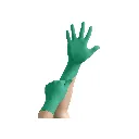 13.webp